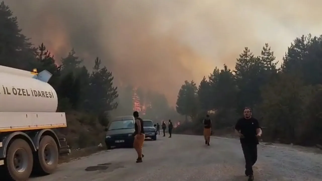 KAHYALAR KÖYÜ YAKINLARINDAKİ ORMANLIK ALANDA FARKLI BİR YANGIN ÇIKTI