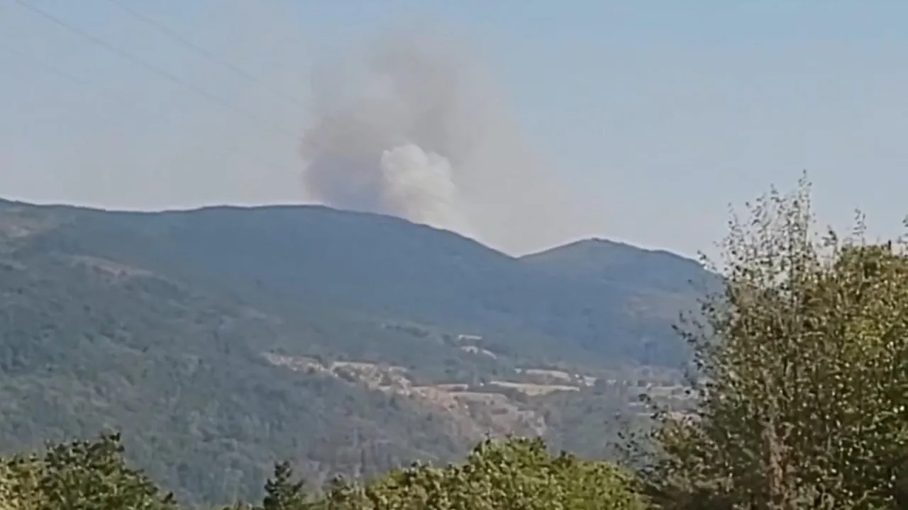 KARABÜK’TE ORMAN YANGINI