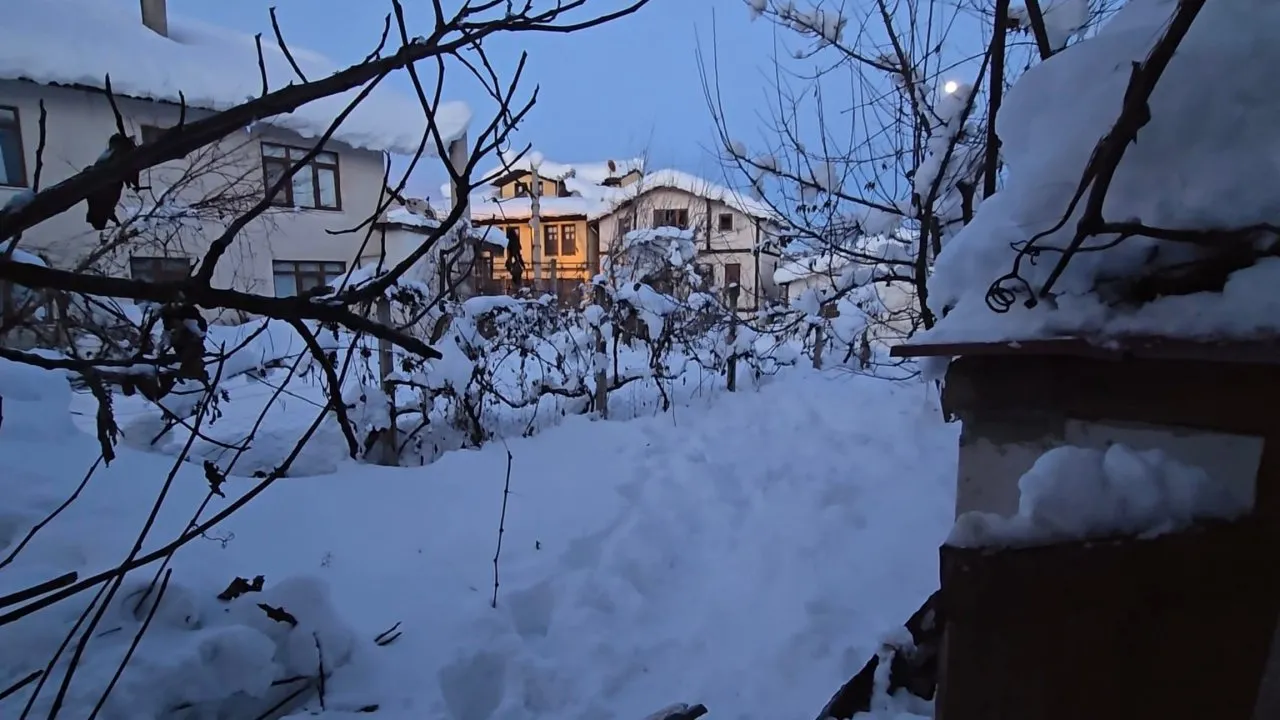YAŞLI KADIN EVİNİN BAHÇESİNDE ÖLÜ BULUNDU